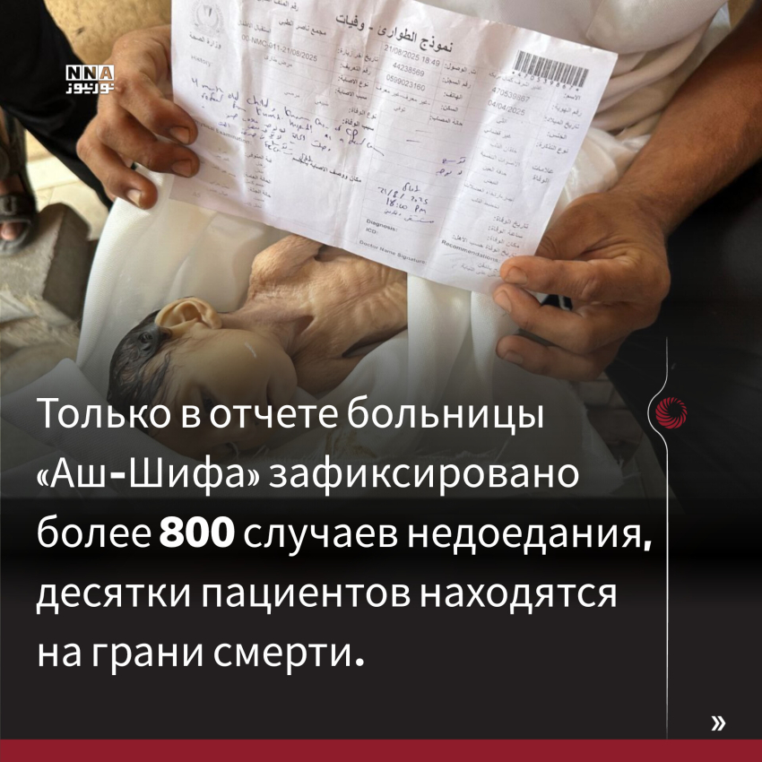 Палестина