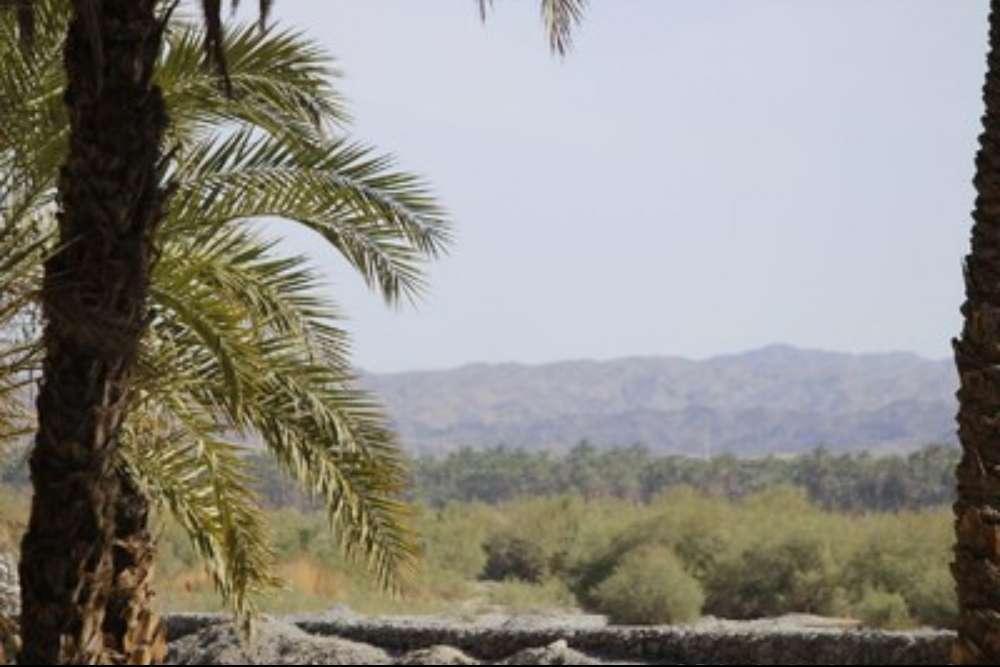 بمپور
