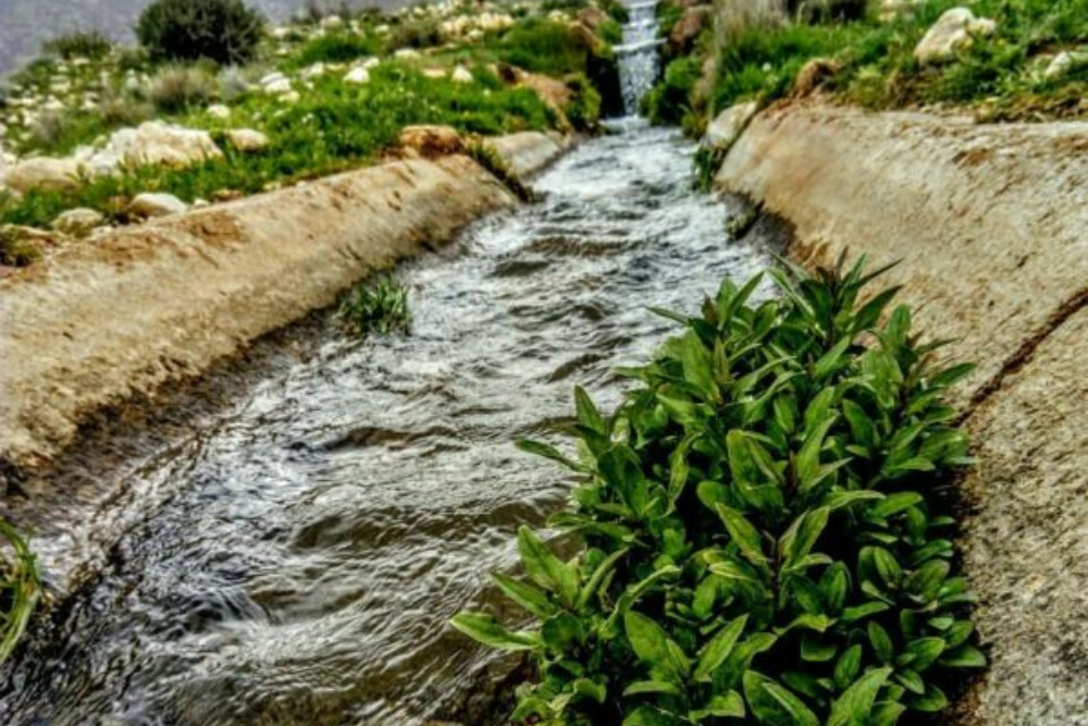بیضا