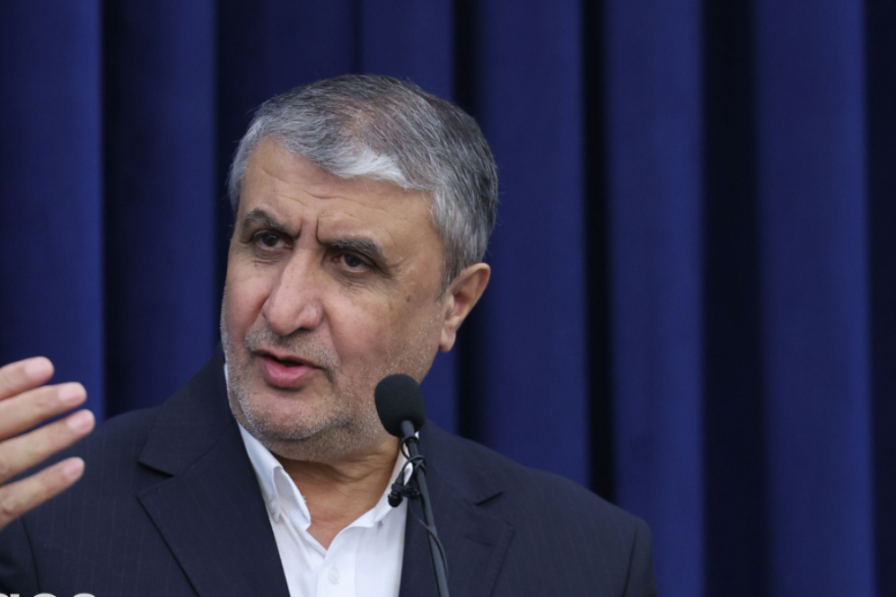 Iran’s nuclear chief blasts IAEA ‘double standards’ ahead of Vienna conference