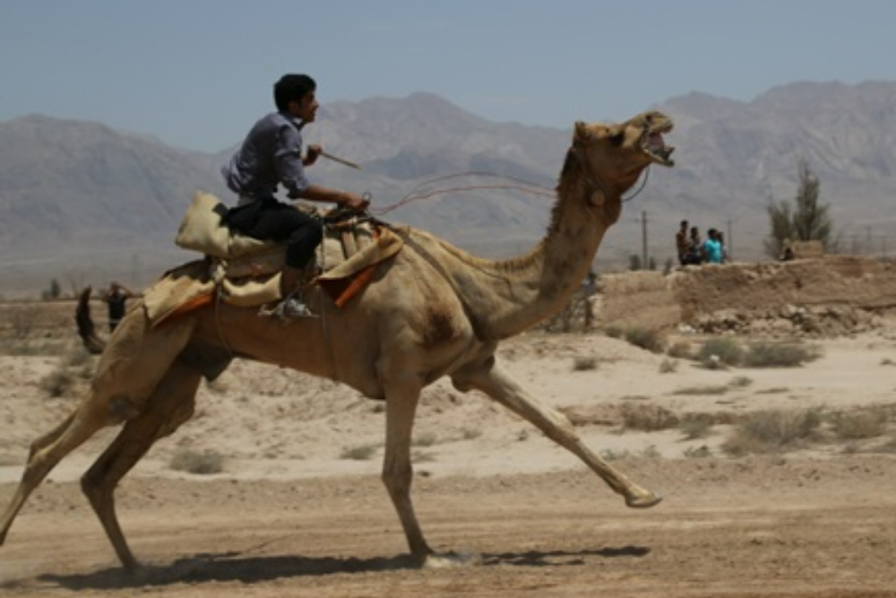 Introduction to Tourist Attractions of Iranian Cities
