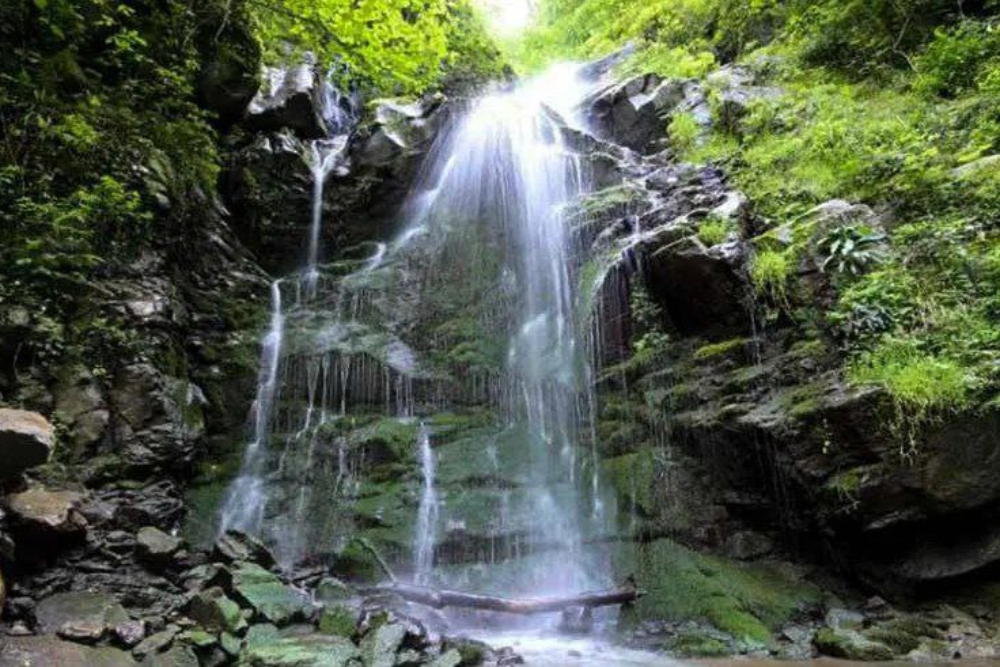 بندرگز