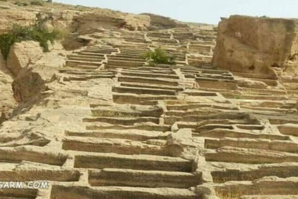 بندرکنگان