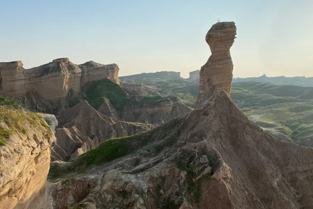 بندرگناوه
