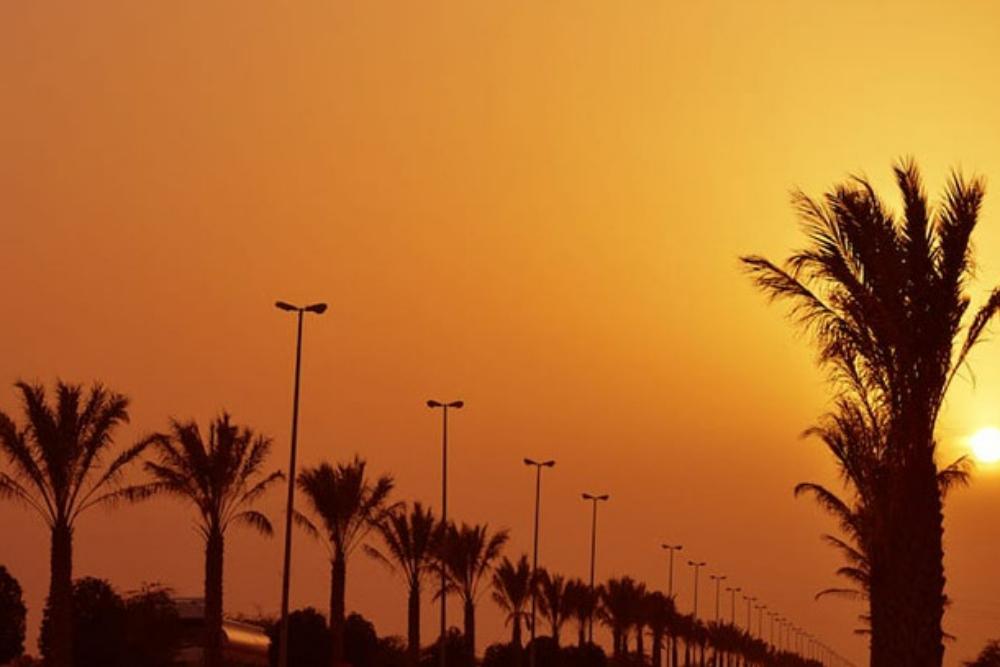 بندرگناوه