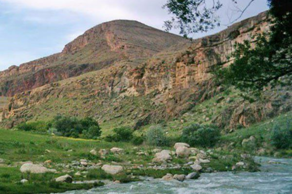 بازرگان