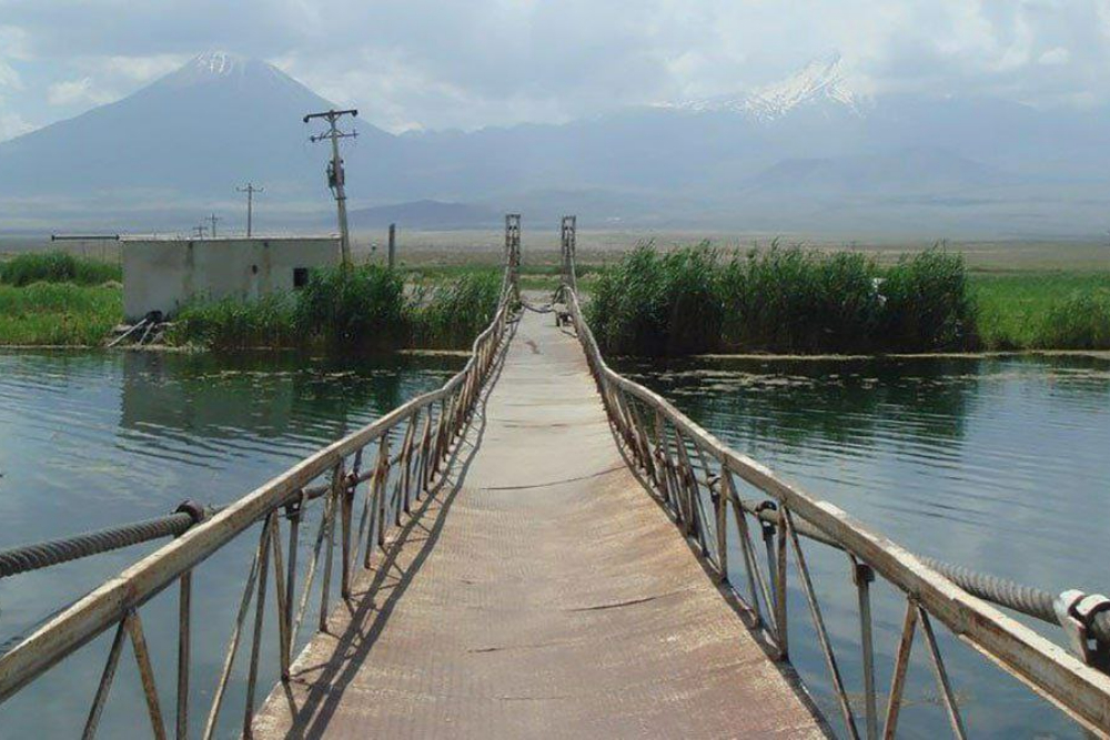 بازرگان