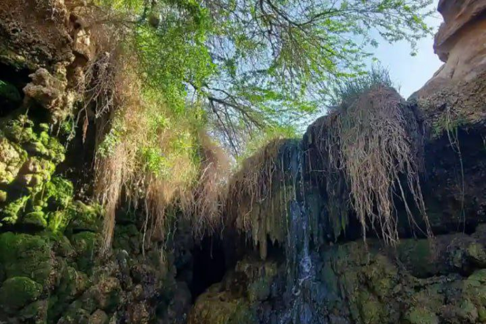 برازجان