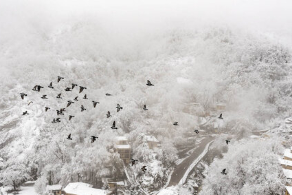 موج جدید بارشی در راه مازندران/ بارش برف در ارتفاعات
