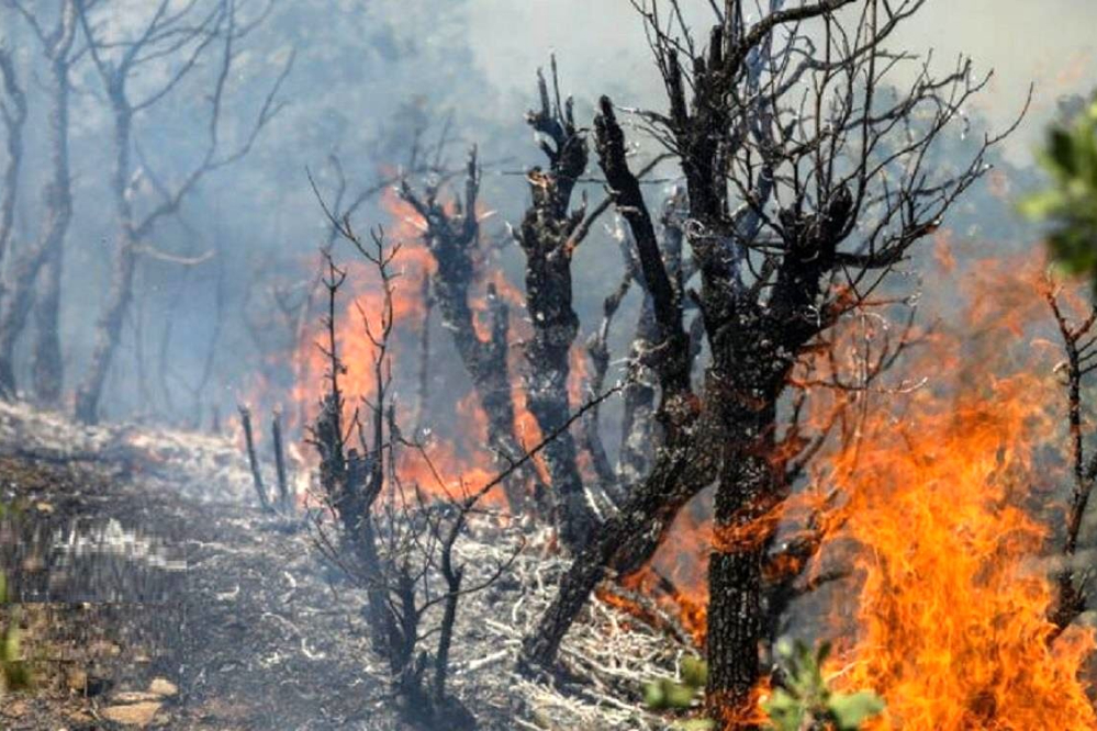 آغاز عملیات هوایی مهار آتش‌سوزی جنگل چالوس با هواپیمای ایلوشن