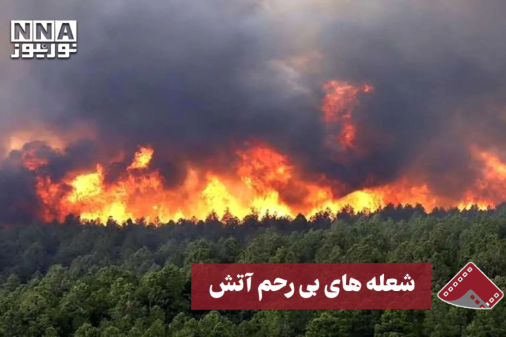نورنما | شعله‌های بی‌رحم آتش