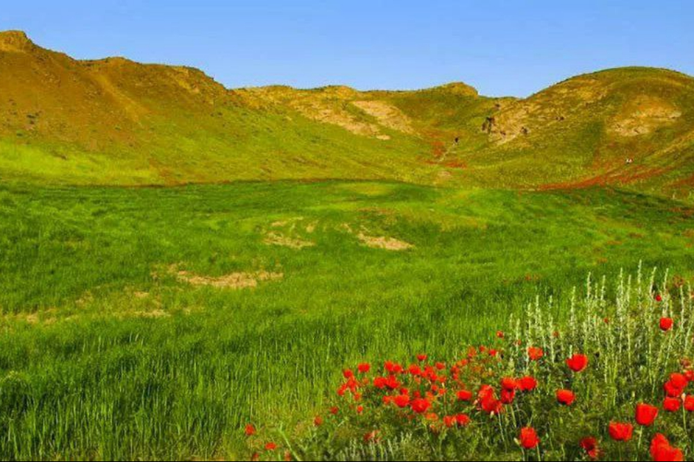 Знакомство с туристическими достопримечательностями иранских городов/ Торбете-Джам (131)