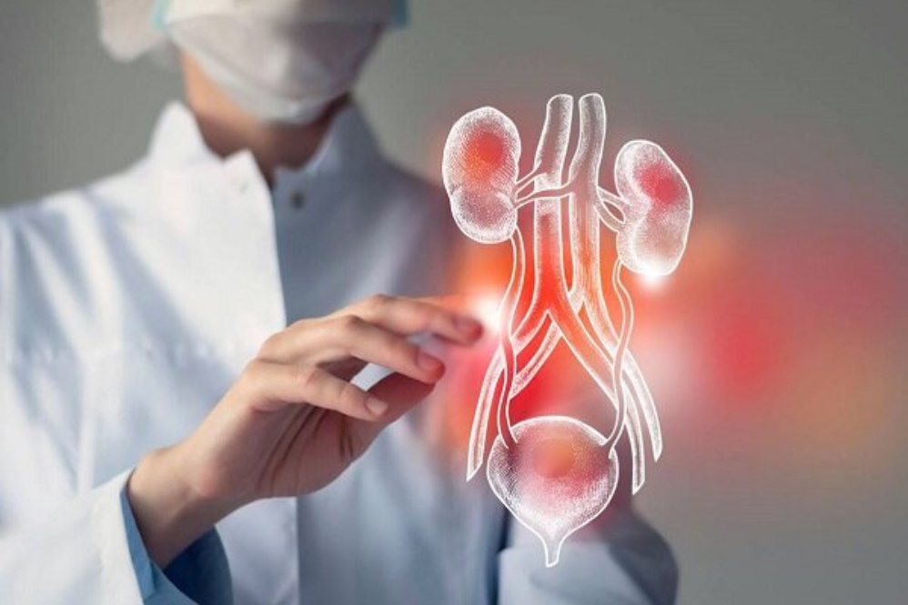 Успех иранских исследователей в лечении гиперактивного мочевого пузыря с помощью стимуляции мозга