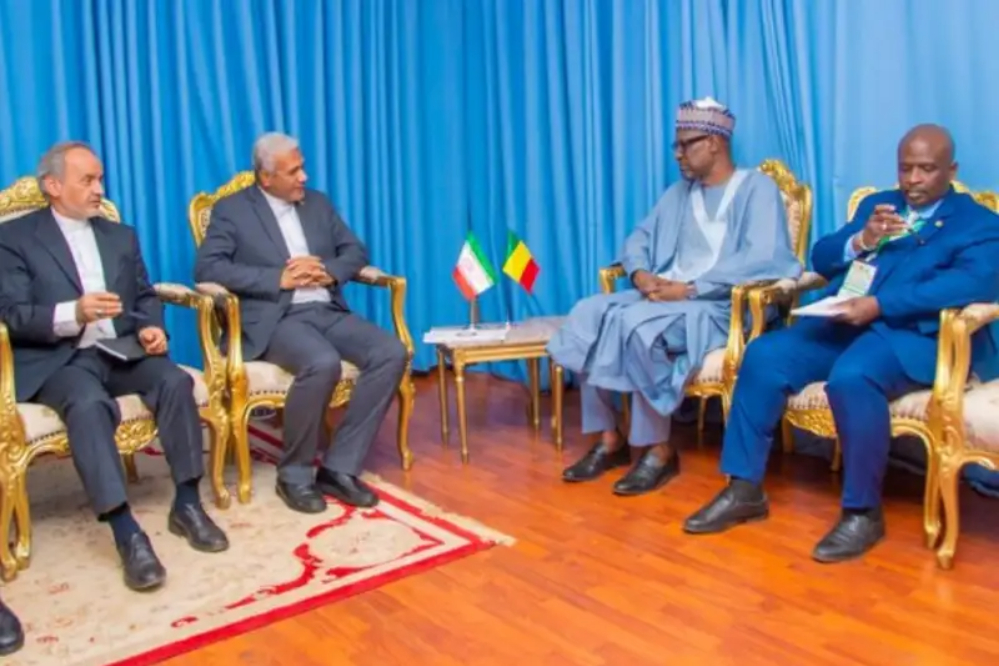 向尼日尔和马里外交部长转达伊朗外交部长的信息