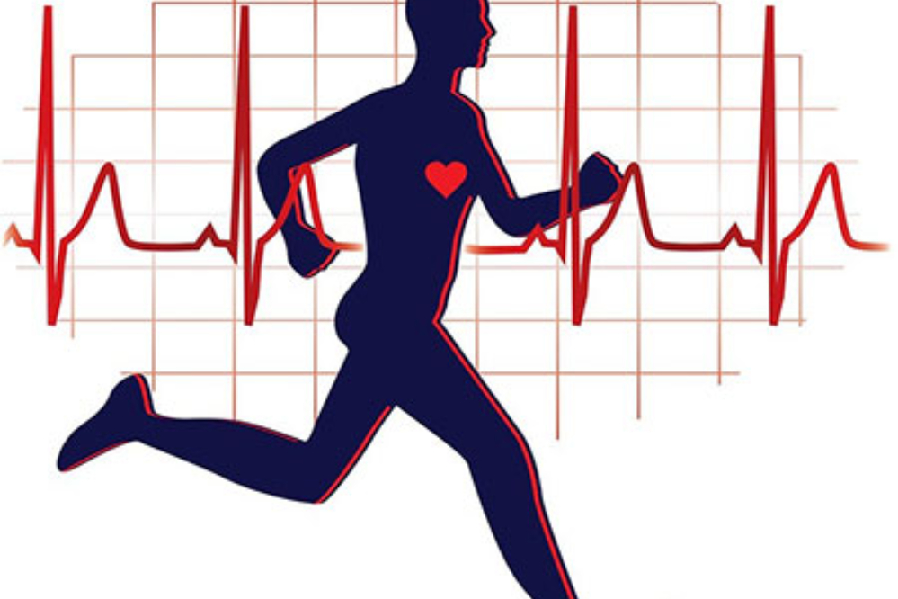 ورزش به تنهایی کارساز نیست