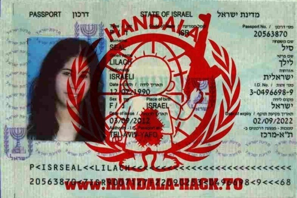 'חנזלה' מפרסם מידע על מומחי כיפת ברזל ישראלים