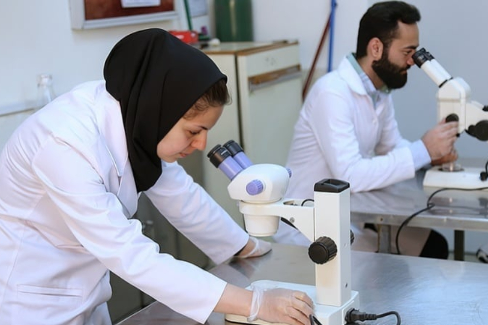 Какова доля Ирана в мировой научной продукции?