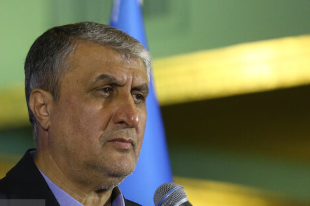 Treatment, health, food security AEOI main priorities: Eslami