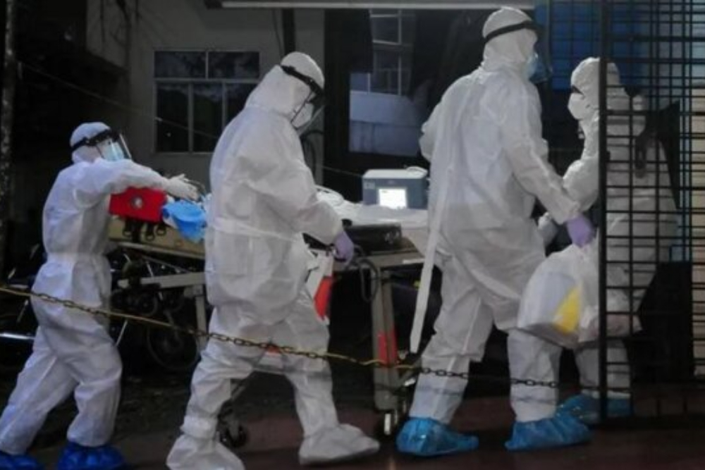 هر آنچه باید درمورد ویروس نیپا بدانید