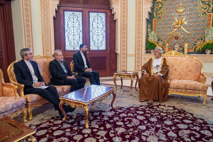 Larijani meets Omani minister of royal office