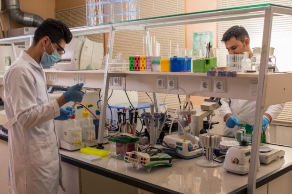 Иран вошел в число 20 ведущих стран мира в области когнитивных наук