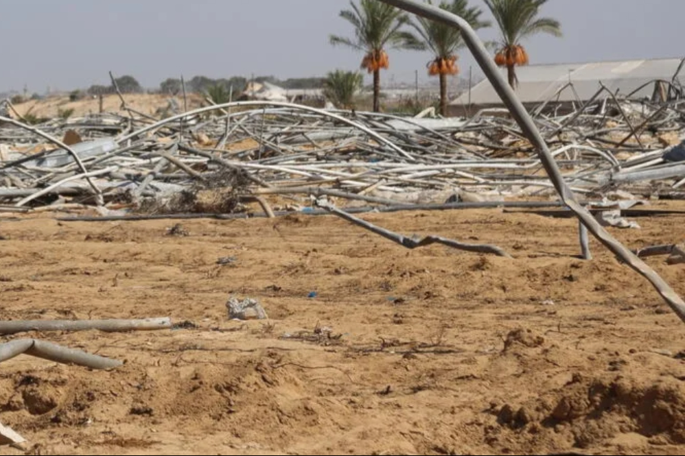 מחקר מגלה כי 96% מאדמות החקלאות של עזה ניזוקו או בלתי נגישות עקב המלחמה