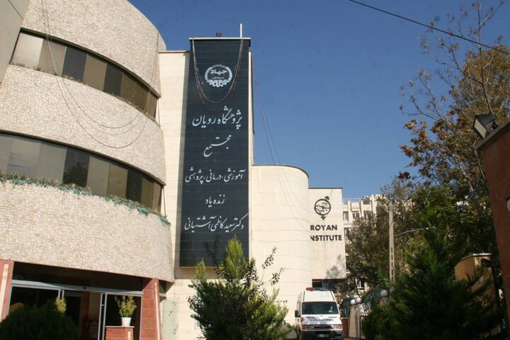 Europeans come to Iran for infertility treatment