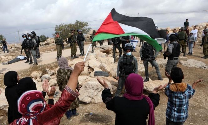 במקביל למסיק הזיתים, מתנחלים כרתו עשרות עצים בבורין