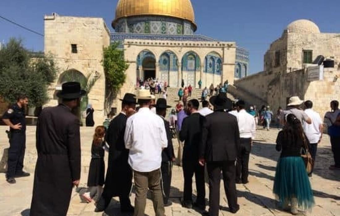 فلسطين.. اشتباك مسلّح في نابلس وتحذير من انتهاكات العدو في الاقصى