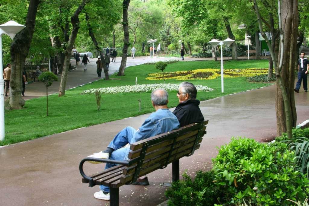 6 منطقه تهران سرانه فضای سبز پایین تری نسبت به سایر مناطق دارند