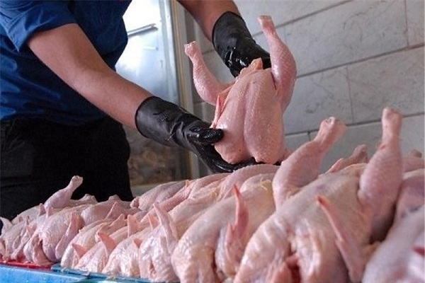 عرضه مرغ بالاتر از قیمت ????? تومان گرانفروشی است