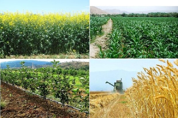 بیش از ?? هزار میلیارد ریال به کشاورزان سیل زده پرداخت شد