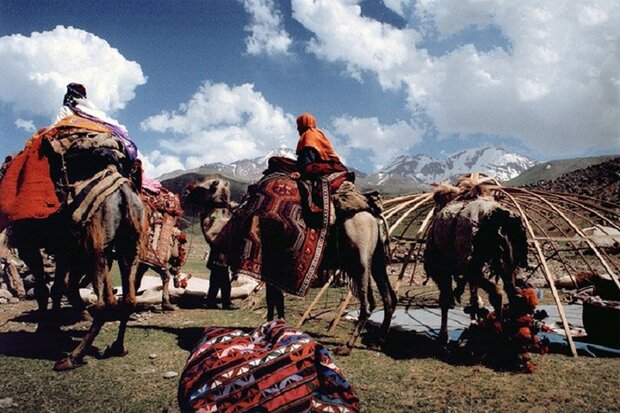 ??? میلیارد تومان برای کمک به زنجیره تولید عشایر اختصاص یافت