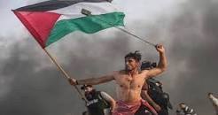 گاردین عکس تظاهرکننده فلسطینی را به عنوان عکس برتر ???? انتخاب کرد