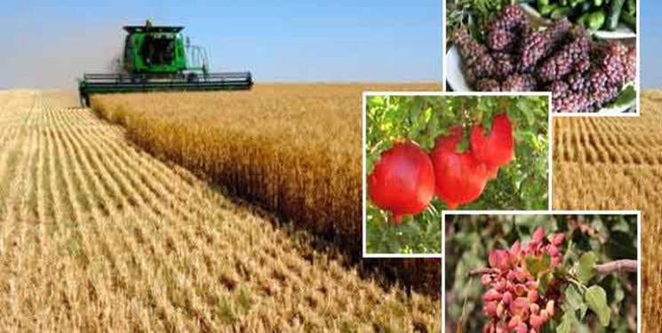 صادرات بخش کشاورزی و غذا از ? میلیارد دلار گذشت