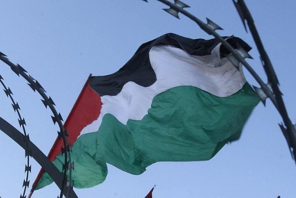 ترحيب فلسطيني بإعلان الجنائية الدولية فتح تحقيق بجرائم العدو.. واميركا تعارضه