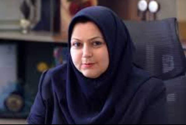 ورود 3 فروند هواپیمای برزیلی به ناوگان یک ایرلاین داخلی/ شرفبافی: معضل استقراض ایران‌ایر را حل کردم