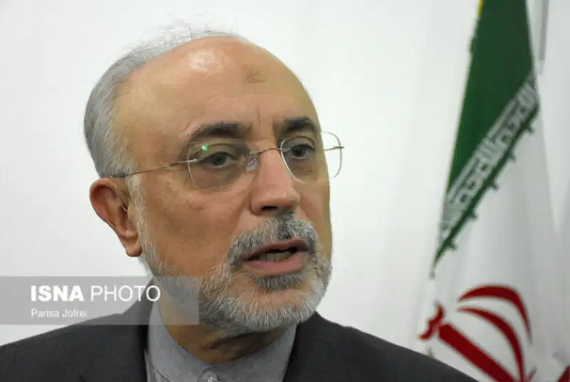 صالحی: اردیبهشت 1399 ماشین سوخت‌گذاری نصب خواهد شد