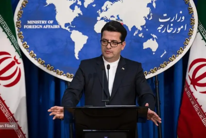 موسوی: برخورد مرزبانی آمریکا با ایرانیان، نژادپرستی محض است
