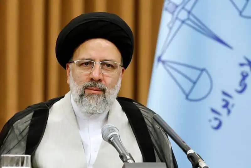 ورود سازمان بازرسی به موضوع قتل عام جوجه‌ها/ رئیسی: جوجه‌کشی غیرقانونی و غیرشرعی است