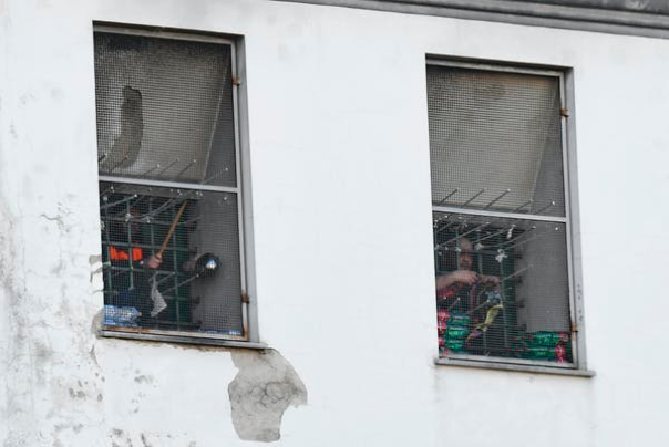 Coronavirus: prisons in Iran and Turkey are dreadful, but their release move is something others should look at