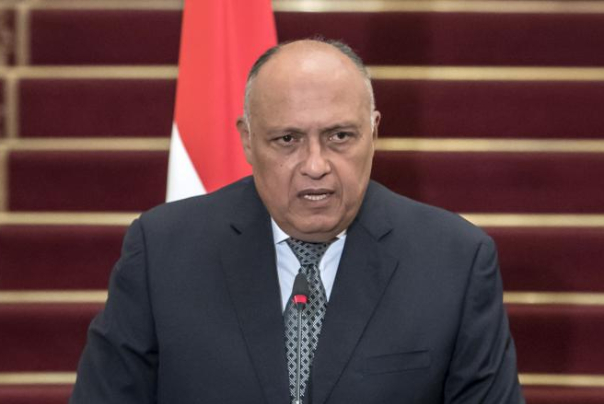 مصر: نعتزم إعادة سوريا إلى موقعها الطبيعي على الساحتين الإقليمية والدولية