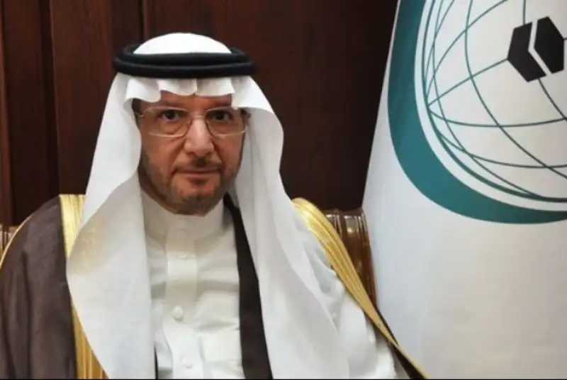 سازمان همکاری اسلامی از موضع عربستان در تحولات جنوب یمن دفاع کرد
