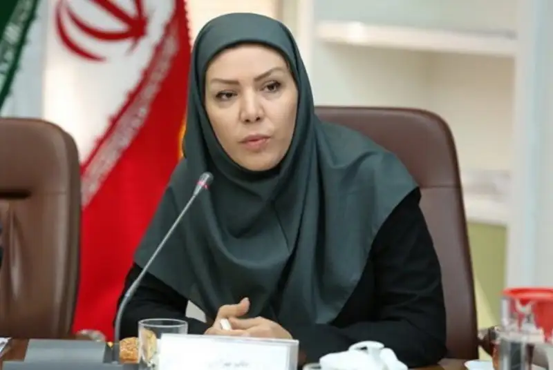 افزایش سرمایه صندوق ضمانت صادرات تصویب شد