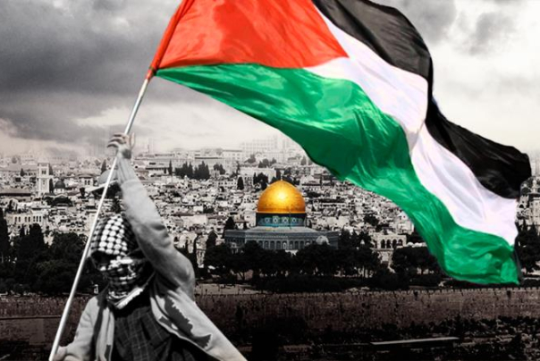 فلسطين في ضمائرنا (فيديو)