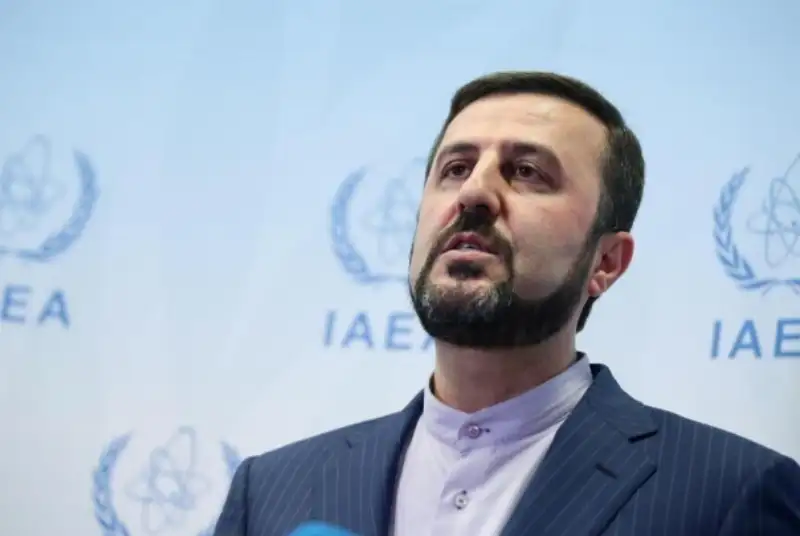 دلیل سفر گروسی به تهران از زبان نماینده دائم ایران در وین