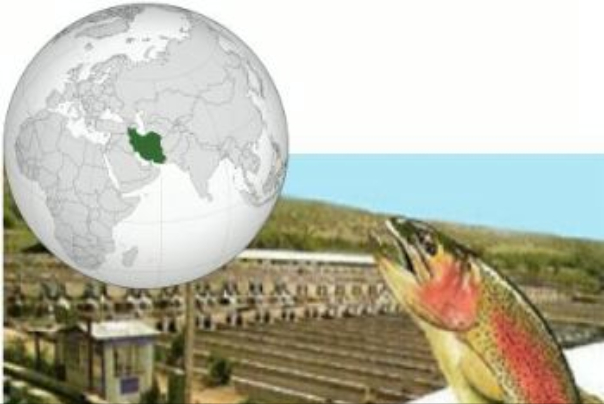Iran ranks 1st in world for producing trout