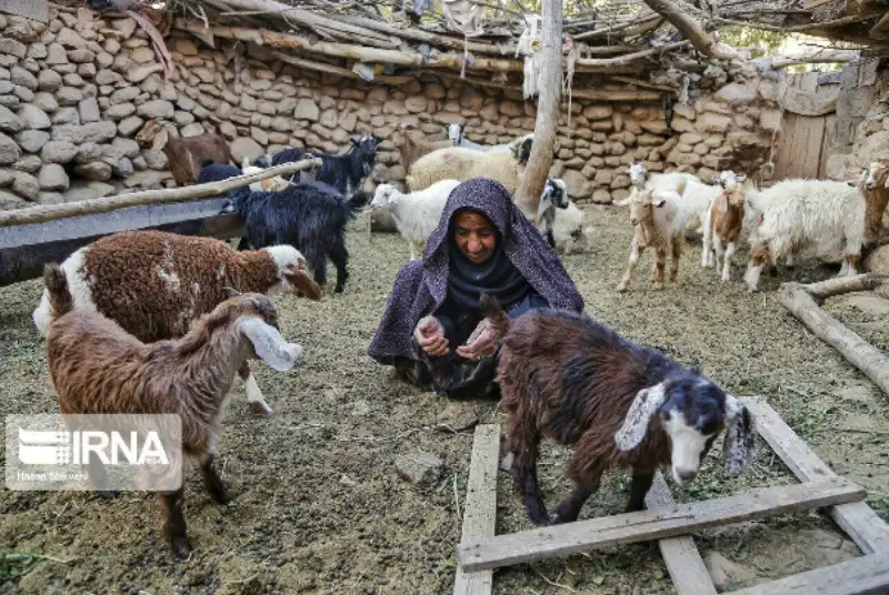مادر سه شهید، آخرین بازمانده در روستای روغنویه
