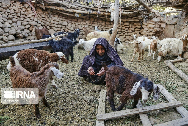 مادر سه شهید، آخرین بازمانده در روستای روغنویه