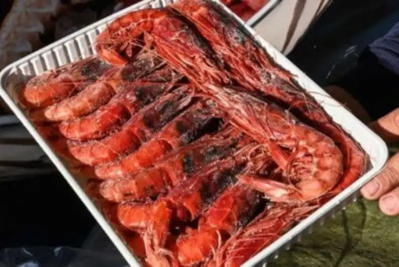 مشاهده ویروس کرونا در بسته بندی میگوی سعودی